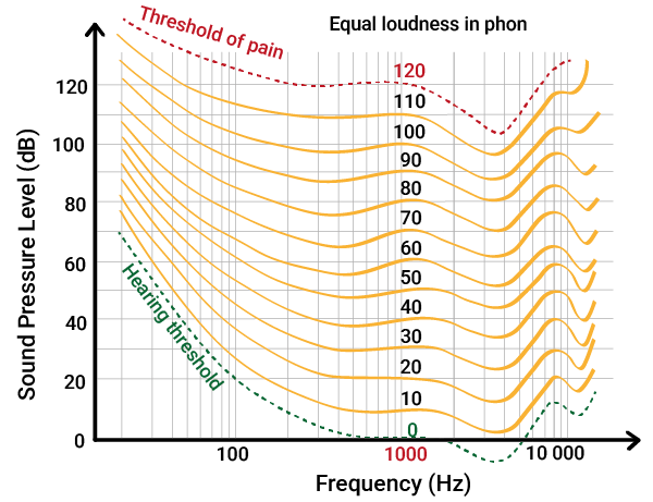 Equal Loudness Contours: The Fletcher-Munson Curves

To illustrate how loudness perception changes with frequency, scientists developed the Equal Loudness Curves (also referred to as Fletcher-Munson curves)  .

These graphs show the sound pressure levels needed for different frequencies to be heard as equally loud.

Note
Did you notice that lower frequencies generally need higher levels to sound equally loud as mid and high frequencies?

This is because our ears are more sensitive to mid & high frequencies (i.e. 1000 Hz and above).

If you want to know and understand why, read this article.
