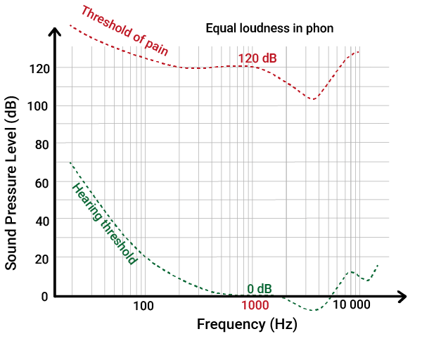 Loudness is how we perceive the intensity of sound.

While sound intensity can be measured objectively using pressure, loudness depends on how our brain interprets what the ear hears.

It is a subjective experience and does not increase in a straight line (called linearly) with changes in sound pressure.

One key factor affecting loudness perception is frequency (if you want to better understand the concept of frequencies, read this article).

People do not hear all frequencies at the same apparent volume, even when the physical intensity remains constant. So the hearing and pain thresholds look a like more like this: